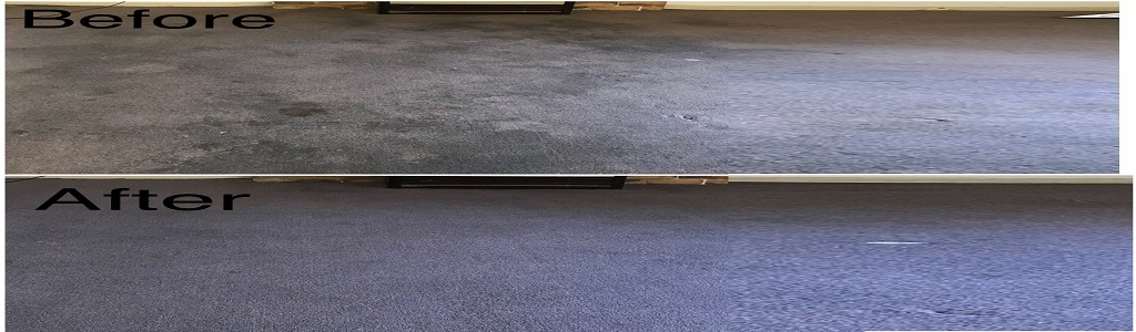 carpet cleaning before after picture
