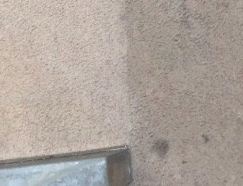 Do I Need Steam Clean The Carpets When The Lease Ends?