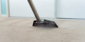 Cheap Carpet steam Cleaning